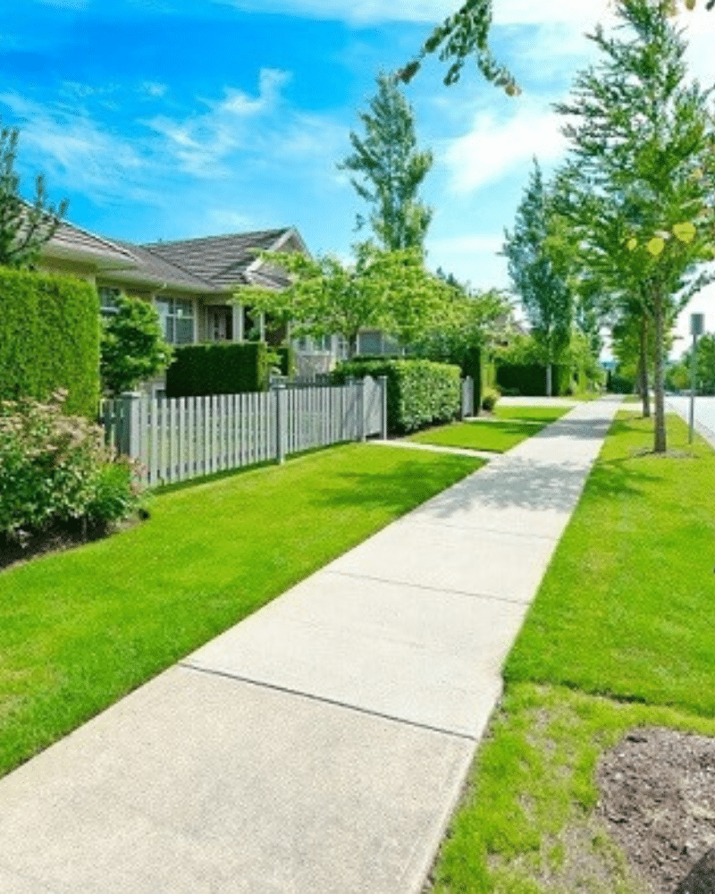 Best Pressure Washing SEO