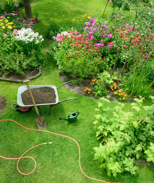 Lawn Care