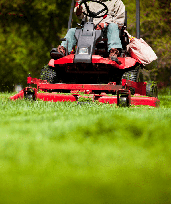 Lawn Care